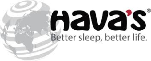 Logo Công ty TNHH H.A.V.A.S