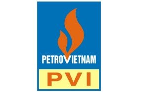 Logo Công ty Cổ phần PVI