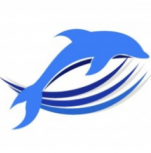 Logo Công ty TNHH Timely Technology Service