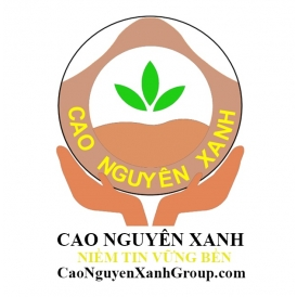 Logo Công ty Cổ phần Tư vấn Đầu tư Cao Nguyên Xanh