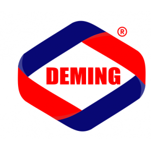 Logo Viện Năng Suất Chất Lượng Deming