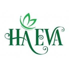 Logo Công ty Cổ phần Tập đoàn Quốc Tế HA Group