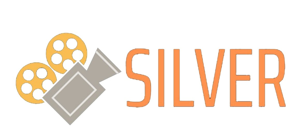 Logo Công ty TNHH Quảng cáo và Thương mại điện tử Silver