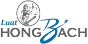 Logo Công ty Luật TNHH Hồng Bách và Cộng sự