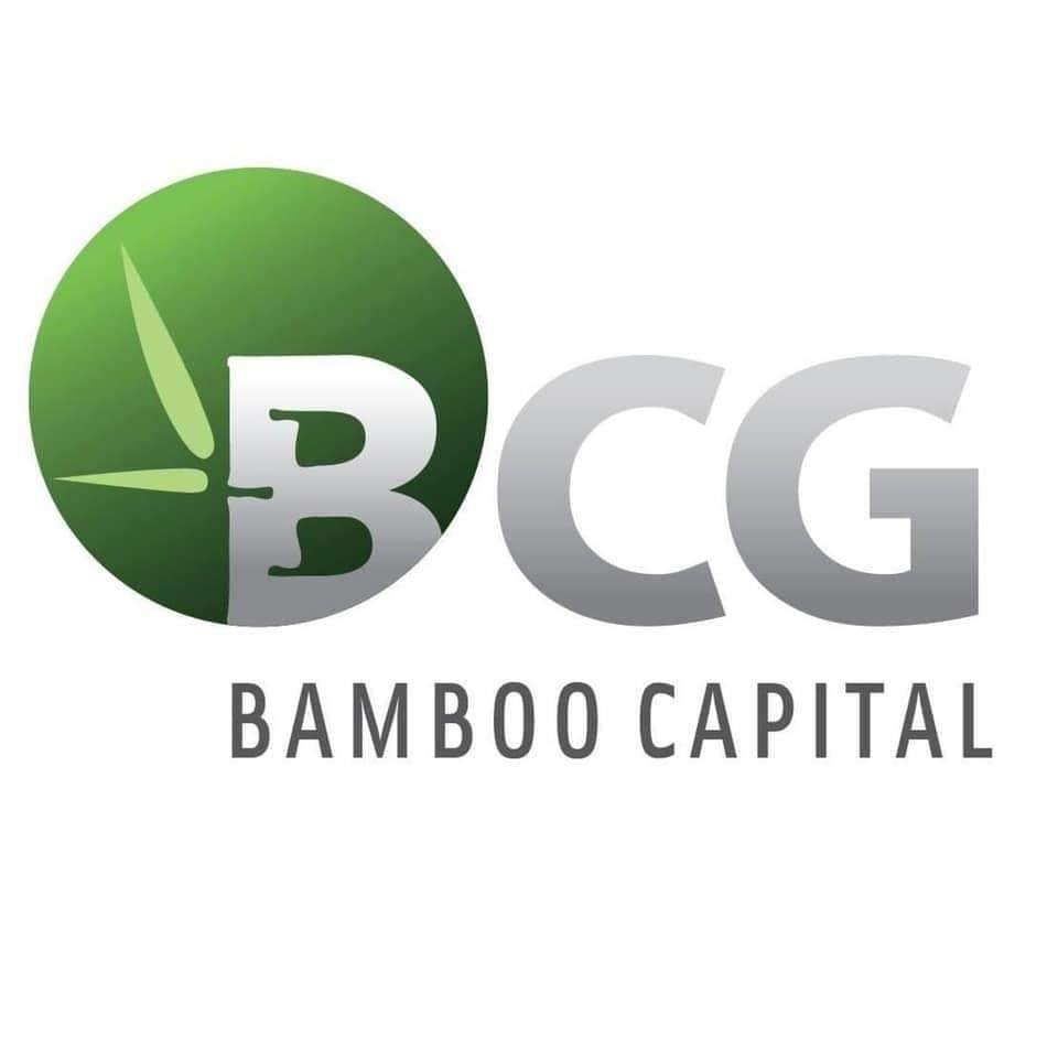 Logo Công ty Cổ phần BCG - SP Greensky