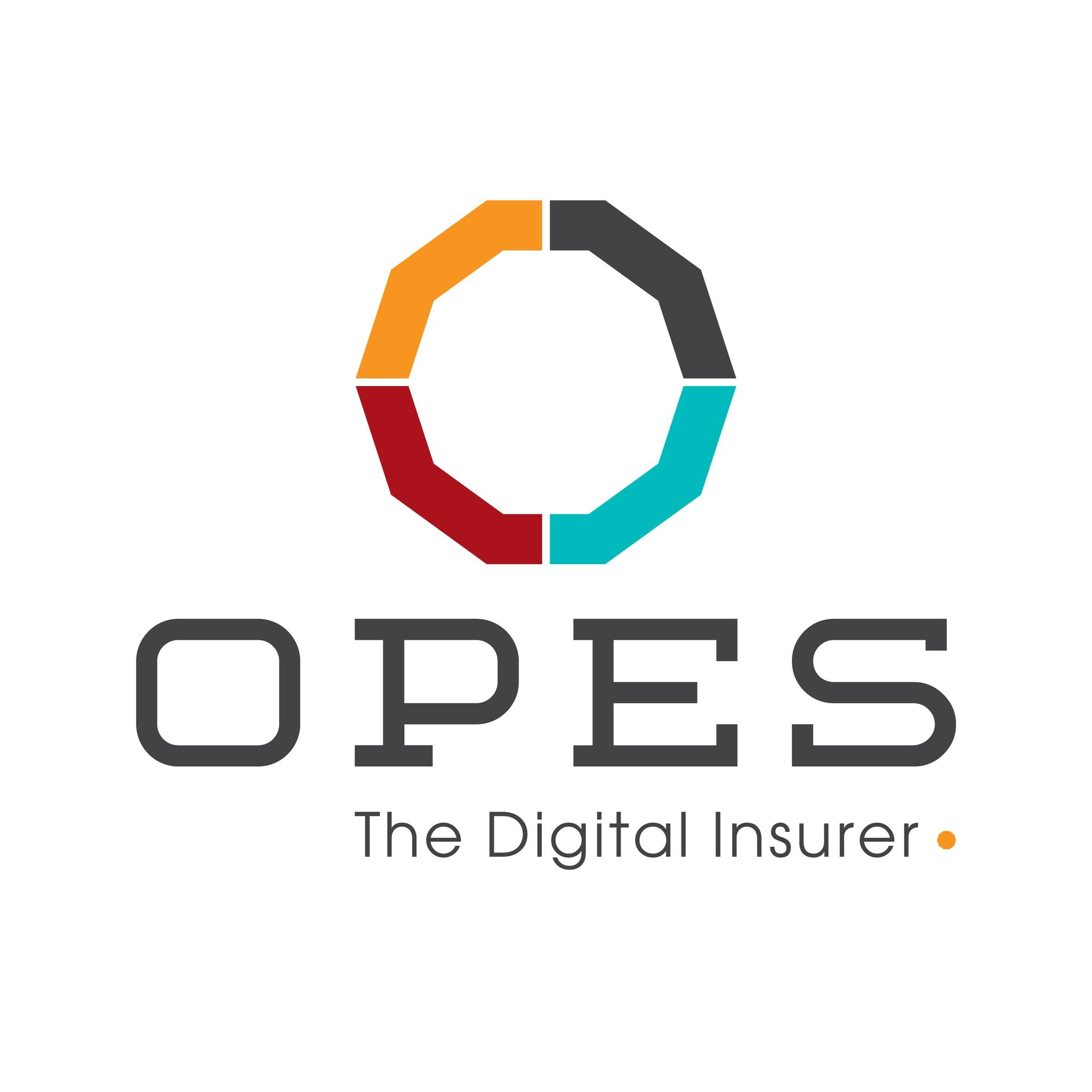 Logo Công ty Cổ phần Bảo hiểm OPES