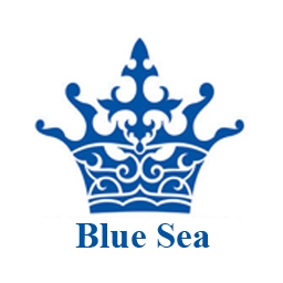 Logo Công ty Cổ phần Blue Sea Việt Nam