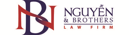 Logo Công ty Luật TNHH Nguyễn & Brothers