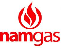 Logo Công Ty Cổ Phần Nam Gas
