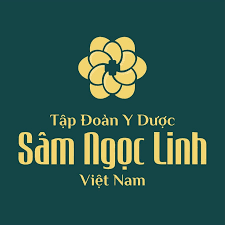 Logo Công ty Cổ phần Tập đoàn Y dược Sâm Ngọc Linh Việt Nam
