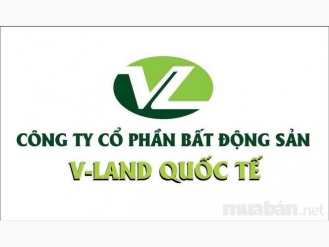 Logo Công ty Cổ phần Bất động sản V-Land Quốc tế