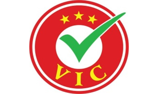 Logo Công ty Cổ phần Tư vấn đầu tư và Thẩm định giá Việt Nam (VNVIC)