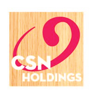 Logo Công Ty TNHH Sản Xuất Thương Mại Và Dịch Vụ CSN Holdings