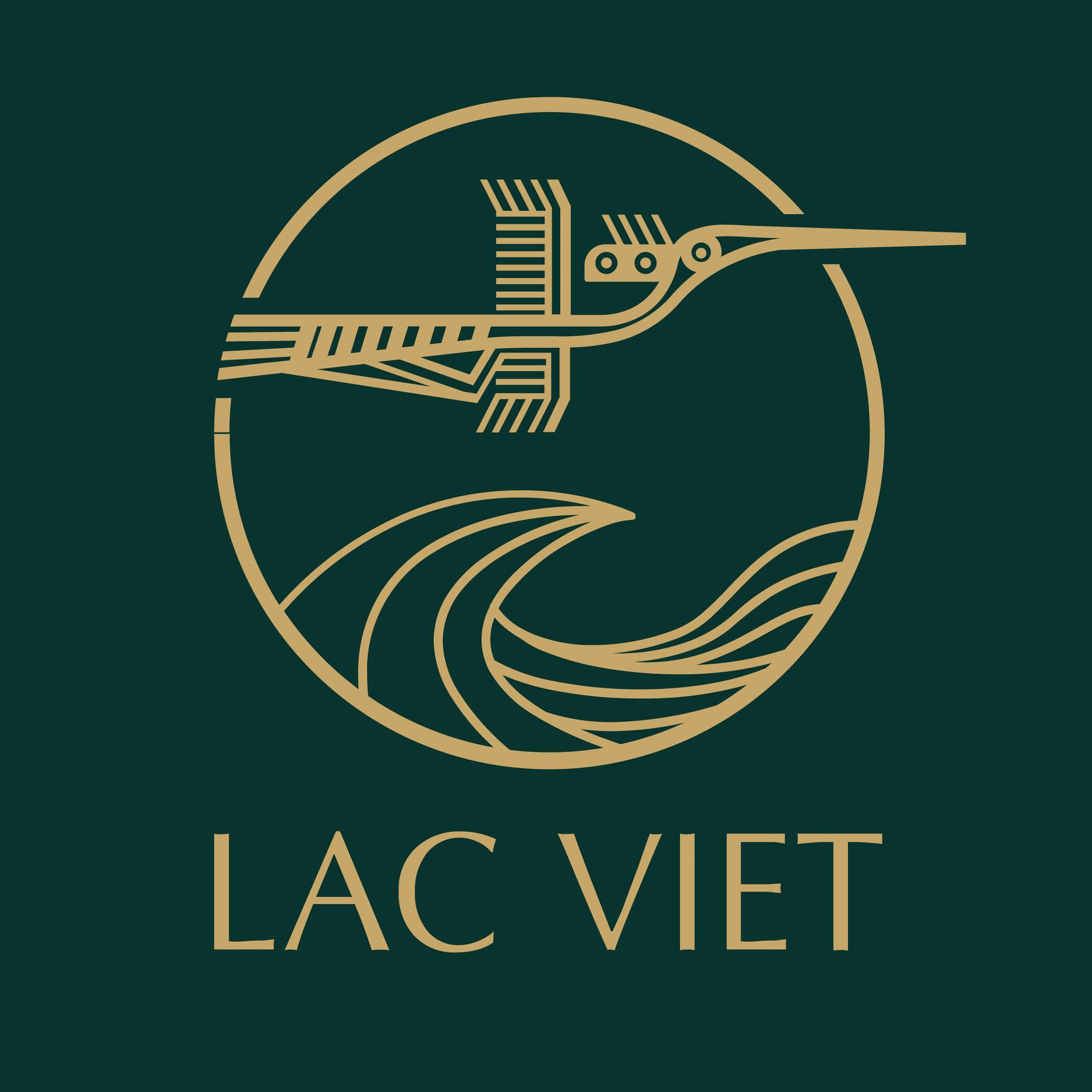 Logo Công ty TNHH Lạc Việt Quy Nhơn