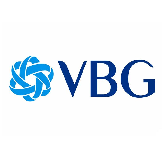 Logo Công ty Cổ phần Đầu Tư VBG (VBG HOLDING)