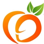Logo Công ty TNHH Dịch vụ và Thương mại Hoa Ưu Đàm