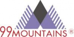 Logo Công ty Cổ phần 99 Núi