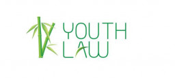 Logo Công ty Luật TNHH MTV Trẻ