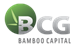 Logo Công ty Cổ phần Bamboo Capital (Bamboo Capital JSC)