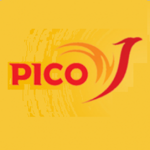 Logo Công ty Hóa chất Xây dựng PICO