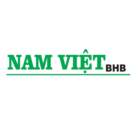 Logo Công ty TNHH BHB Nam Việt