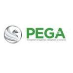 Logo Công ty Cổ phần Xe điện Pega LTT
