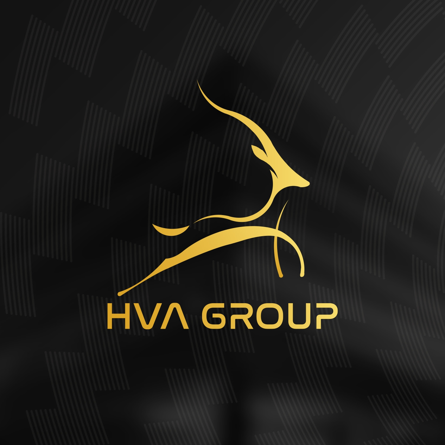 Logo Công ty Cổ phần Đầu Tư HVA