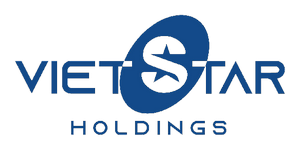 Logo Công ty Cổ phần Holdings Ngôi Sao Việt