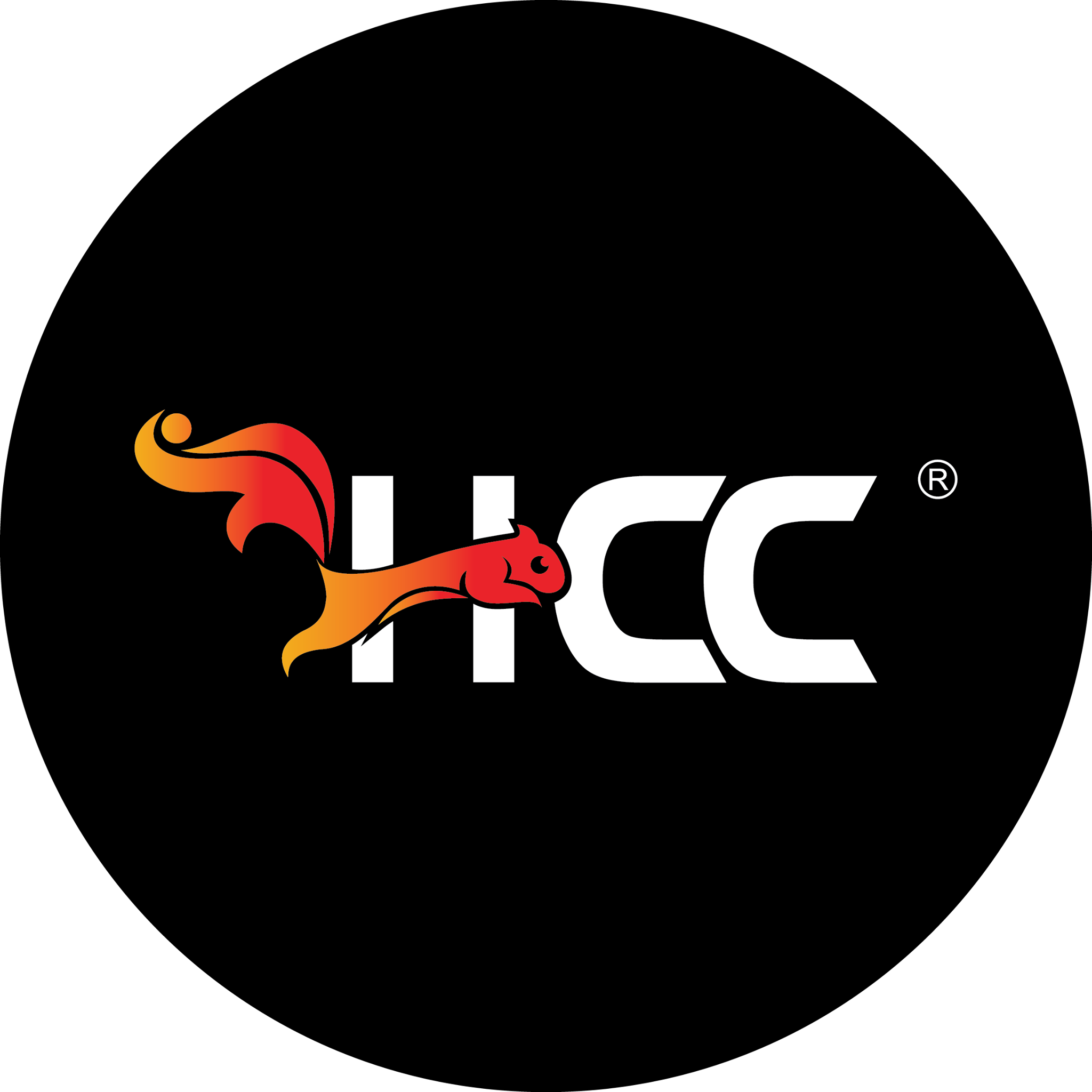Logo VPĐD Công ty Cổ phần Giải trí HCC Việt Nam