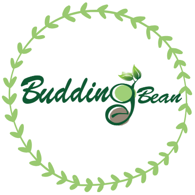 Logo Công ty TNHH Budding Bean Việt Nam