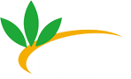 Logo Công ty TNHH Giải pháp khỏe Thái Dương