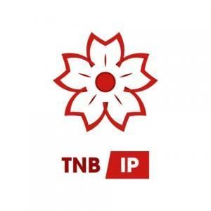 Logo Công ty CP TV & DV Sở hữu trí tuệ TNBI