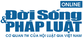 Logo Công ty CP Báo Đời Sống & Pháp Luật - D&N Media