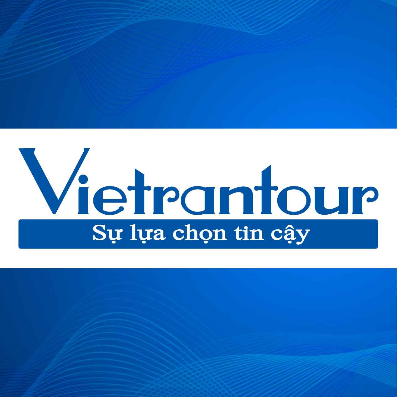 Logo Công ty TNHH Vietrantour