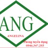 Logo Công ty TNHH Angelina