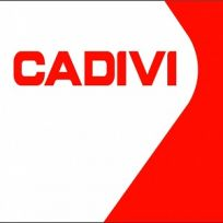 Logo Công ty TNHH MTV Cadivi Đồng Nai
