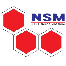 Logo Công ty TNHH NSM HV