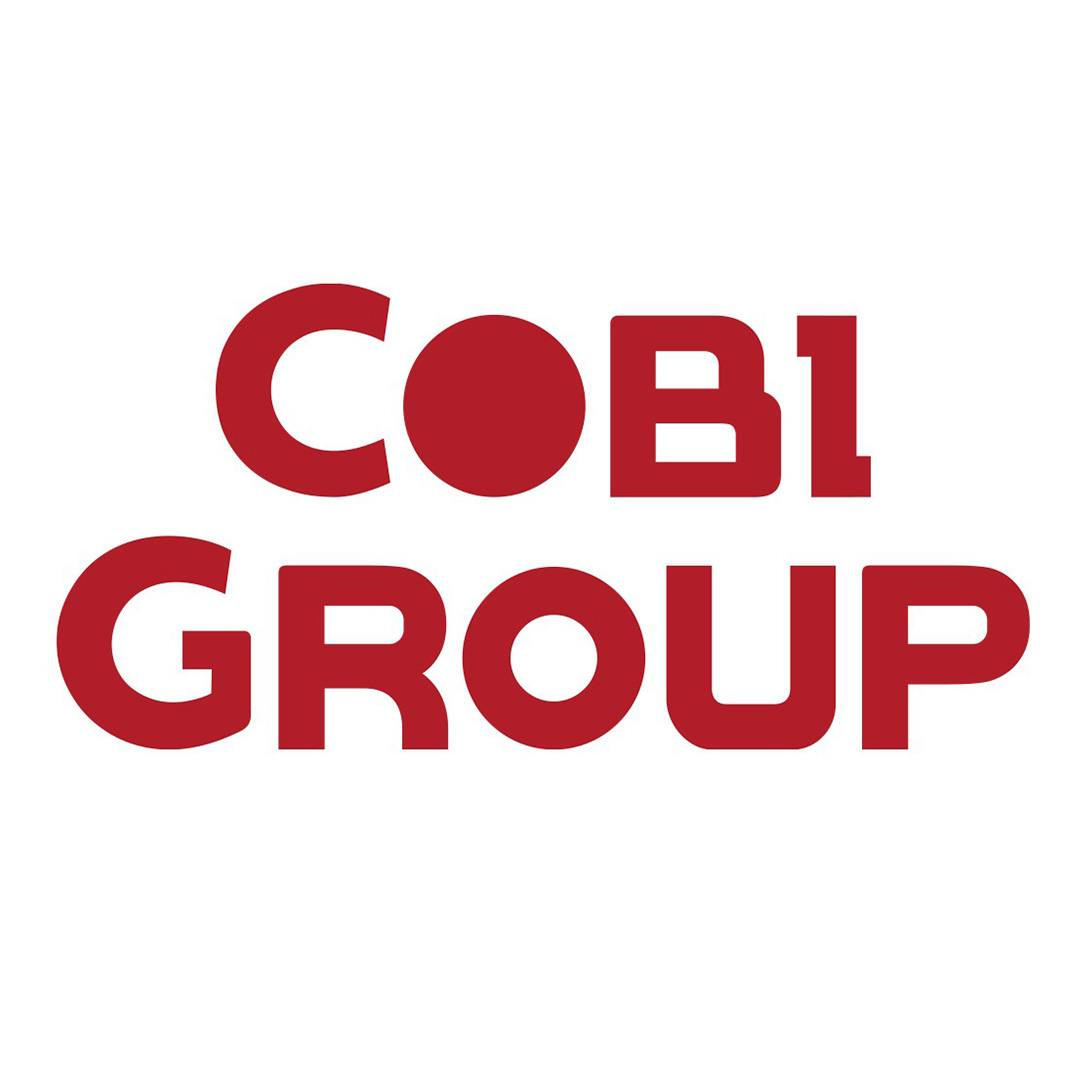Logo Công ty TNHH Cobi Quốc Tế (COBI GROUP)