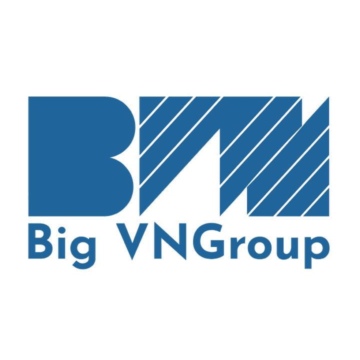 Logo Công ty Cổ phần BIG VNGROUP Việt Nam