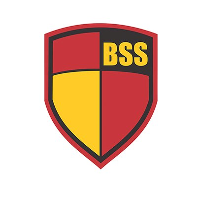 Logo Công ty Cổ phần Dịch vụ Bảo vệ Ngân Hàng (BSS)