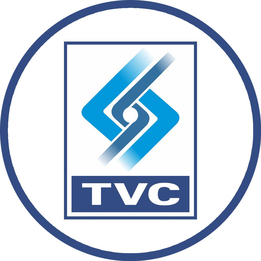 Logo Công ty TNHH TTCL Việt Nam
