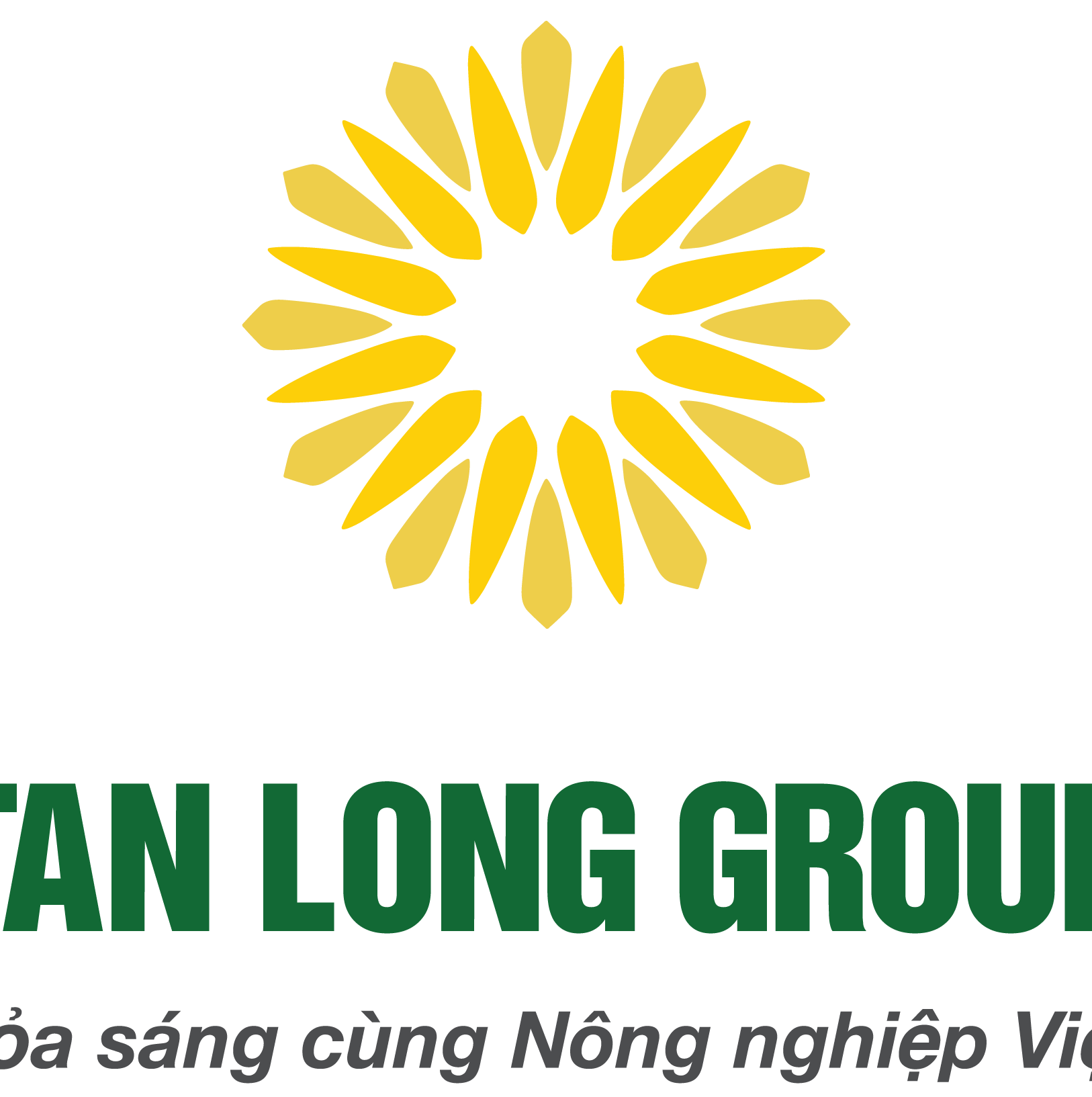 Logo Tập đoàn Tân Long