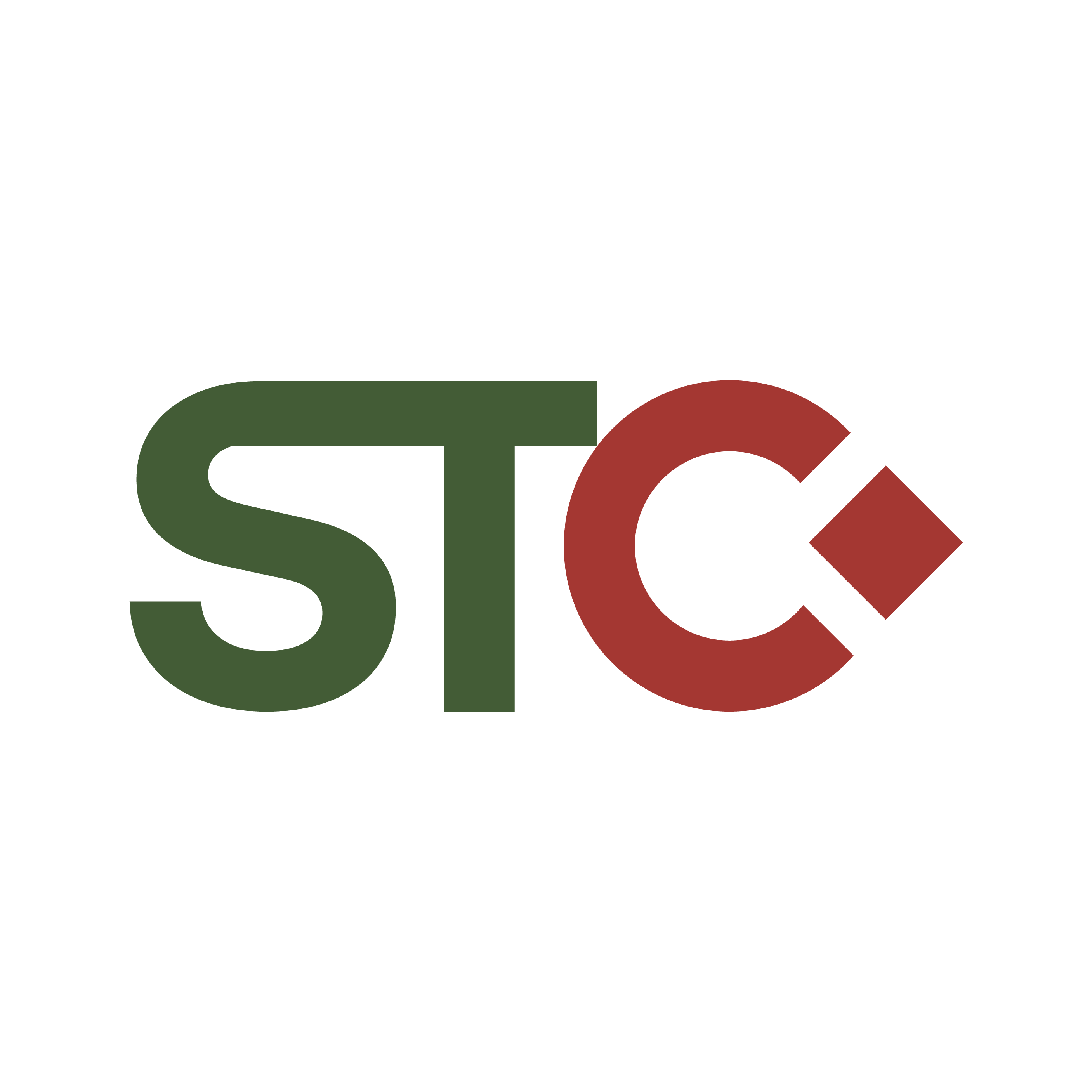 Logo Công ty Cổ phần Phát triển Địa ốc Sông Tiên
