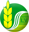 Logo Công ty Cổ phần Lúa Vàng