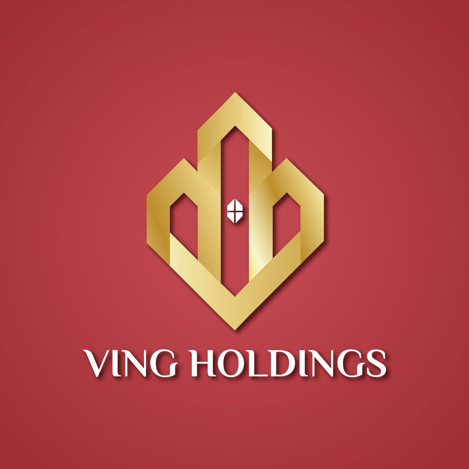 Logo Công ty Cổ phần Đầu Tư Ving Holdings	