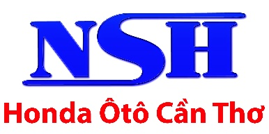 Logo Công Ty Cổ Phần Ô Tô Nam Sông Hậu