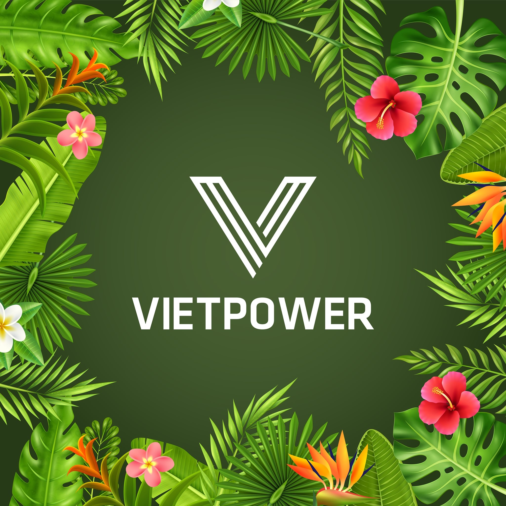 Logo Công ty Cổ phần Truyền thông và Sự kiện VIETPOWER