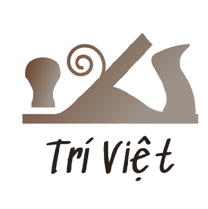 Logo Công ty Cổ phần Tư vấn kỹ nghệ Trí Việt