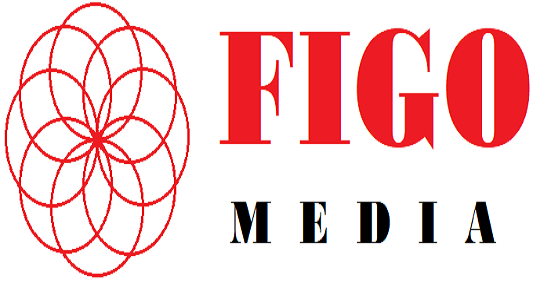 Logo Công ty TNHH TRUYỀN THÔNG FIGO