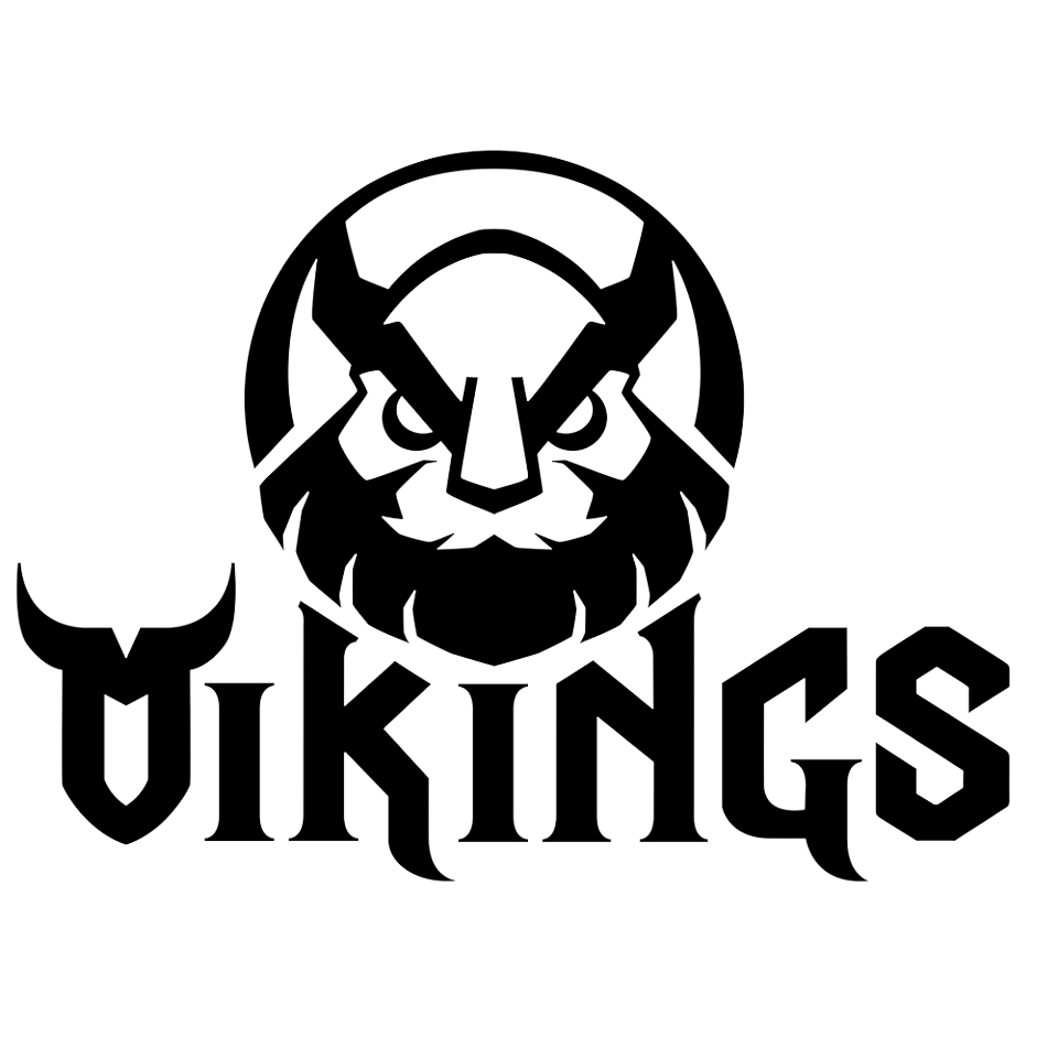Logo Công ty TNHH Công nghệ VIKINGS